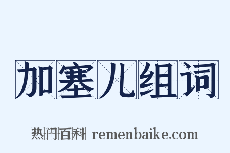 加塞儿组词是什么意思的图片